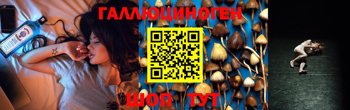 магазин продажи   Вход с VPN  Ногинск  Галлюциногенные грибы GOLDEN TEACHER 