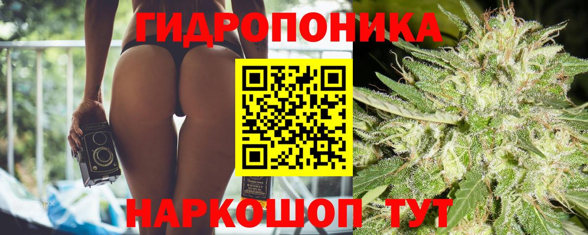 Бошки Шишки семена Ногинск
